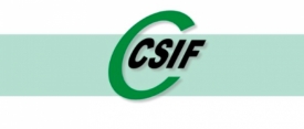 CSIF se opone a la creación de grupos mixtos dentro de una misma aula en las Escuelas Oficiales de Idiomas de C-LM