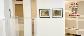 La exposición "Anfibios" llega a Ciudad Real para concienciar sobre la amenaza de estos vertebrados