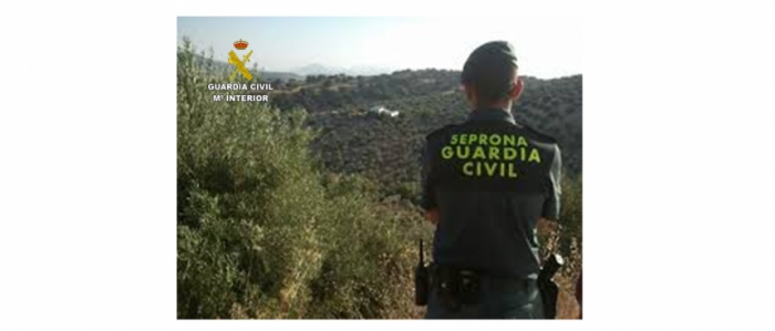 El SEPRONA de Ciudad Real alcanza la cifra de 36 personas investigadas durante el primer semestre