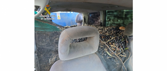 La Guardia Civil procedió a la aprehensión de dos partidas de aceituna hurtada en la provincia