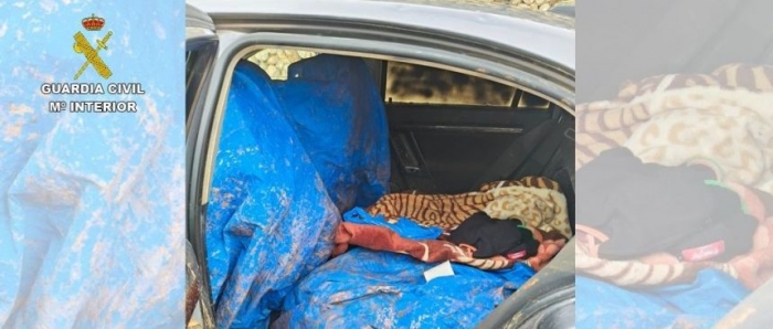 La Guardia Civil desarticula un grupo criminal dedicado al hurto de aceituna en explotaciones agrarias de la provincia