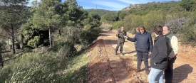 El Gobierno de García-Page convoca ayudas para tratamientos selvícolas con el objetivo de favorecer la conservación y mejora de las masas forestales"
