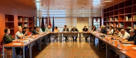 El Gobierno de Castilla -La Mancha reúne al Consejo Regional del Pueblo Gitano para preparar la celebración del Día del Pueblo Gitano en la región
